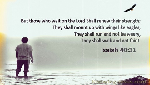 Isaiah 40:31 Those Who Wait On The Lord Shall Renew Their Strength Like Eagles (sage)